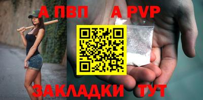 кокс Гатчина