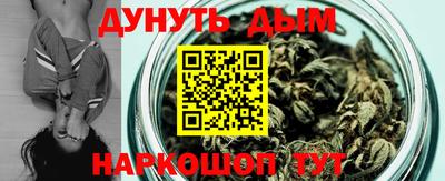 кокс Гатчина