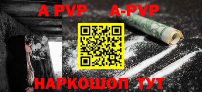 кокс Гатчина