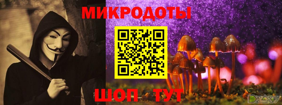Псилоцибиновые грибы Cubensis Оренбург