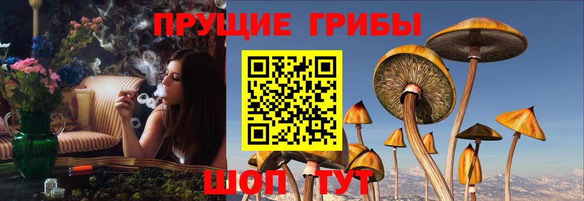 Галлюциногенные грибы Magic Shrooms  Вход с VPN  Оренбург 